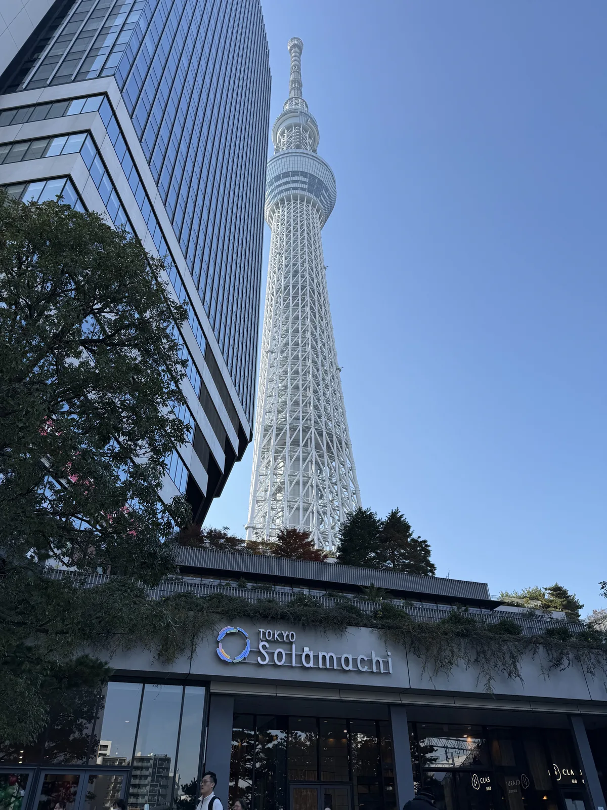 Tokyo Day 3: Family Mart Breakfast, Skytree, and Afternoon Tea
