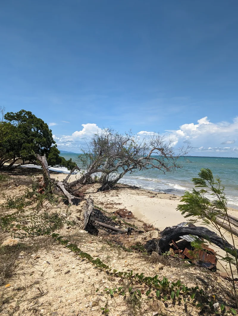 Sandy Palawan beach with driftwood under a clear blue sky with white clouds