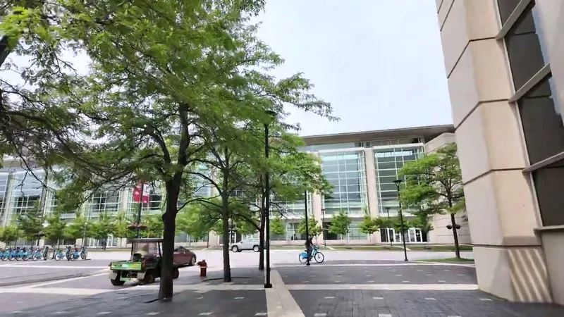 Tree-lined street in downtown Chicago, Illinois with modern glass and steel buildings under a cloudy summer sky