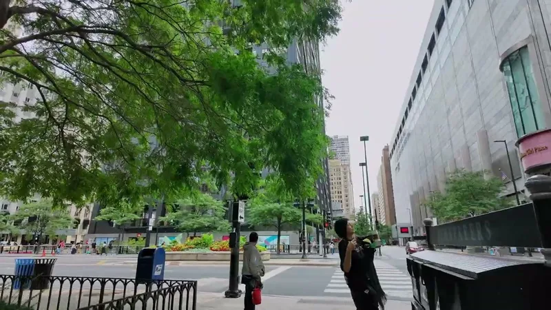 Wide-angle view of downtown Chicago, Illinois streets lined with tall buildings and lush green trees in summer