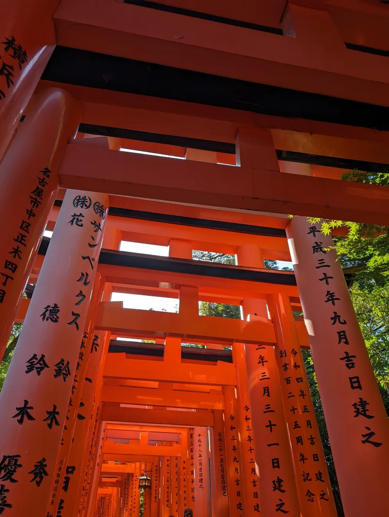 Low-angle view of Fushimi Inari Shrine's orange torii gate tunnel with inscriptions in Kyoto, Japan.