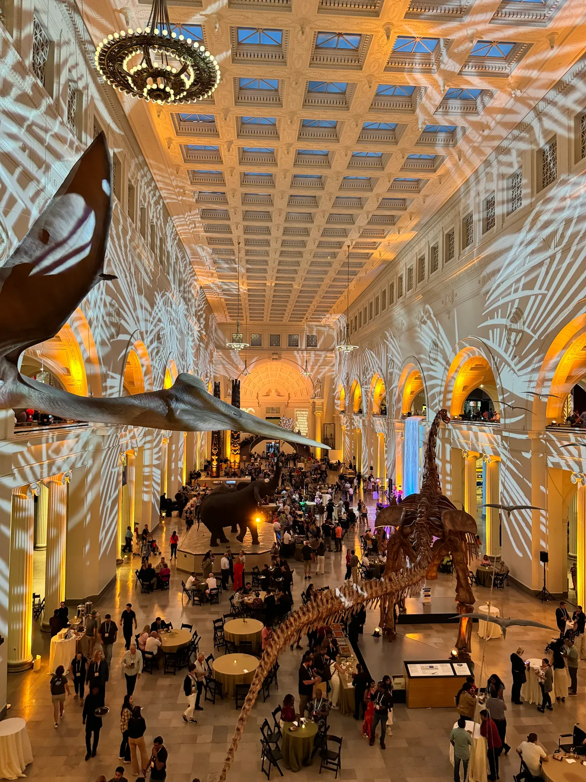 Grand hall of the Field Museum in Chicago, Illinois filled with people at a private evening event, with dinosaur and pterosaur skeletons illuminated by orange and blue lighting