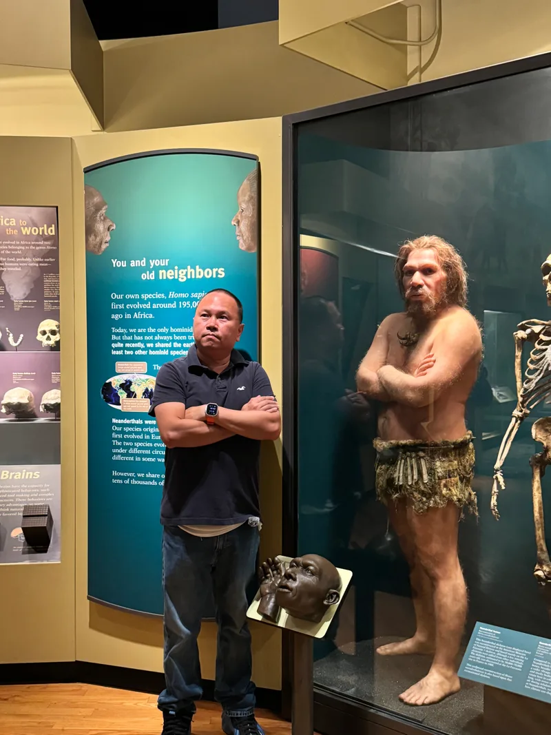 Man next to Neanderthal exhibit in the human evolution gallery at the Field Museum in Chicago, Illinois