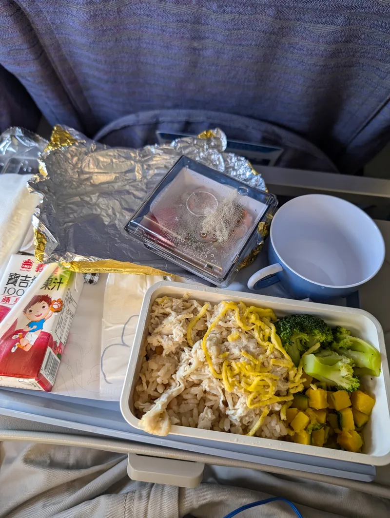 In-flight meal on the Manila to Taipei leg Airplane meal tray with shredded chicken, rice, broccoli, and a side salad on a seat-back tray table during the Manila to Taipei flight.