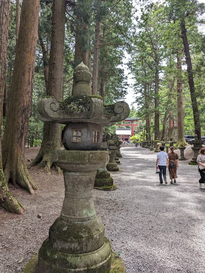 Stone lantern on the path through tall cedar trees at Fuji Sengen-Jinja Shrine, Yamanashi, Japan.