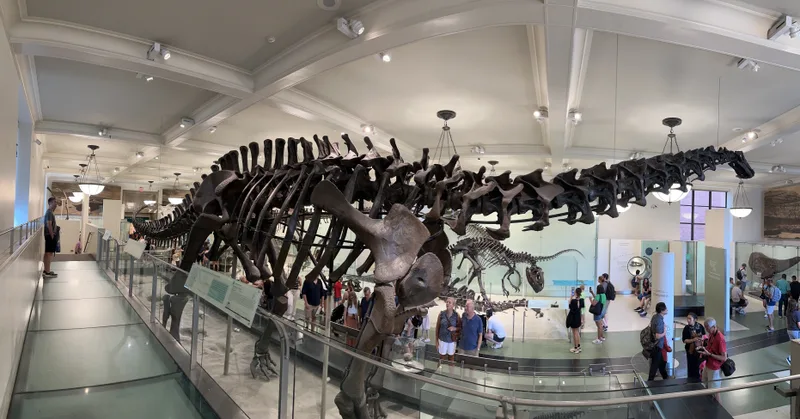 Panoramic view of dinosaur hall at American Museum of Natural History