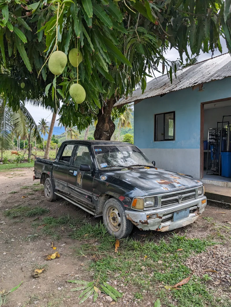 The infamous Hilux. Still going. Old rusty black Toyota Hilux pickup truck parked under a mango tree with green mangoes at Henalric resort in Caramay, Roxas, Palawan
