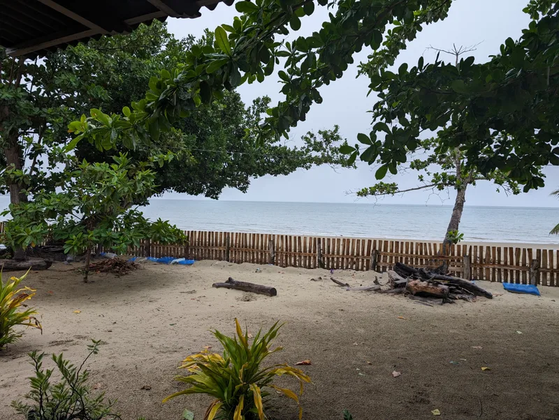 That's the view right outside the cottage — Uncle Henry's front yard is literally the beach Sandy beach with green tropical plants and calm ocean viewed from the grounds of Henalric resort in Caramay, Roxas, Palawan Philippines