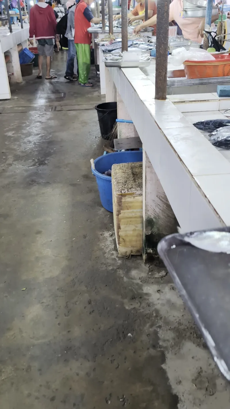 Inside the Roxas palengke — fresh catch on the right, dried goods on the left Bustling indoor fish market in Roxas Palawan Philippines with concrete floors and white tiled counters and blue buckets on the floor