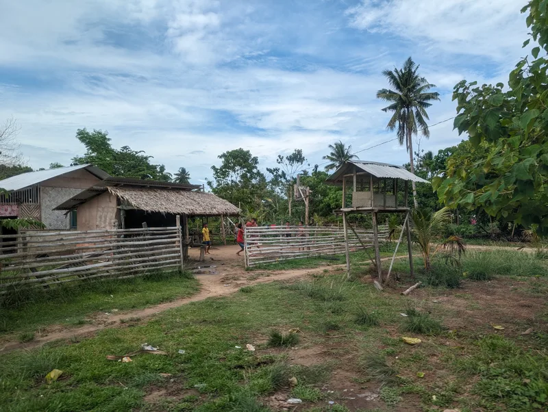 Rural scene with simple wooden thatched-roof houses behind a rustic fence with children playing in the yard and tall palm trees in Palawan Philippines